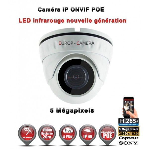 Dôme IP anti-vandal IR 20M ONVIF POE Capteur SONY 5 MegaPixels - Caméra de vidéo surveillance IP