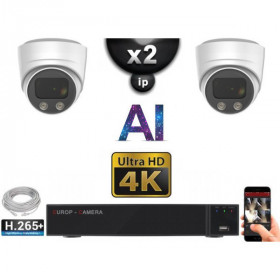 Kit Vidéo Surveillance PRO IP 2x Caméras POE Dômes AI IR 25M Capteur SONY UHD 4K + Enregistreur NVR 8 canaux H265+ 1000 Go