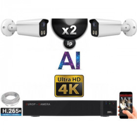 Kit Vidéo Surveillance PRO IP 2x Caméras POE Tubes AI IR 25M Capteur SONY UHD 4K + Enregistreur NVR 8 canaux H265+ 1000 Go