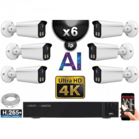 Kit Vidéo Surveillance PRO IP 6x Caméras POE Tubes AI IR 25M Capteur SONY UHD 4K + Enregistreur NVR 8 canaux H265+ 2000 Go