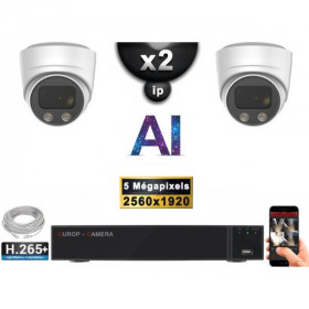 Kit Vidéo Surveillance PRO IP : 2x Caméras POE Dômes AI IR 25M Capteur SONY 5 MP + Enregistreur NVR 9 canaux H265+ 1000 Go