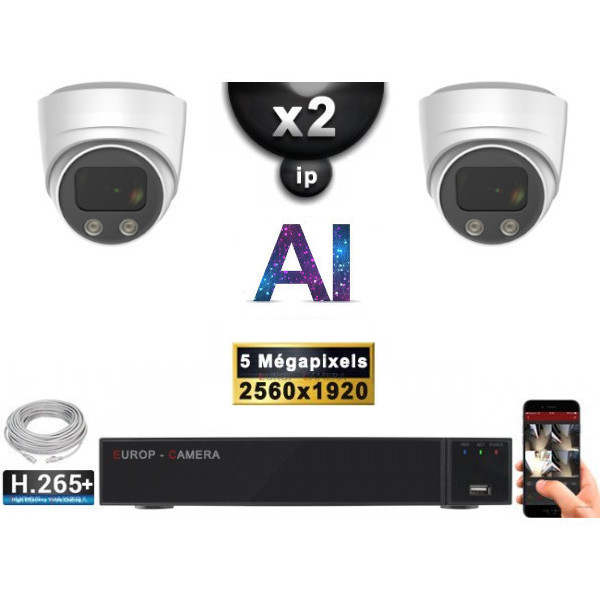 Kit Vidéo Surveillance PRO IP : 2x Caméras POE Dômes AI IR 25M Capteur SONY 5 MP + Enregistreur NVR 9 canaux H265+ 1000 Go