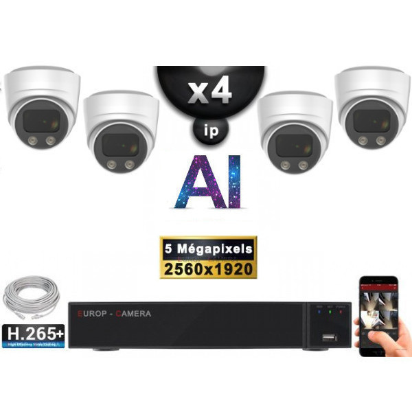 Kit Vidéo Surveillance PRO IP : 4x Caméras POE Dômes AI IR 25M Capteur SONY 5 MP + Enregistreur NVR 9 canaux H265+ 2000 Go