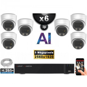Kit Vidéo Surveillance PRO IP : 6x Caméras POE Dômes AI IR 25M Capteur SONY 5 MP + Enregistreur NVR 9 canaux H265+ 2000 Go