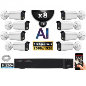 Kit Vidéo Surveillance PRO IP : 8x Caméras POE Tubes AI IR 25M Capteur SONY 5 MP + Enregistreur NVR 16 canaux H265+ 3000 Go