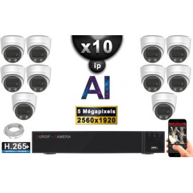 Kit Vidéo Surveillance PRO IP : 10x Caméras POE Dômes AI IR 25M Capteur SONY 5 MP + Enregistreur NVR 16 canaux H265+ 3000 Go