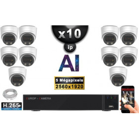 Kit Vidéo Surveillance PRO IP : 10x Caméras POE Dômes AI LED 30M Capteur SONY 5 MP + Enregistreur NVR 32 canaux H265+ 3000 Go