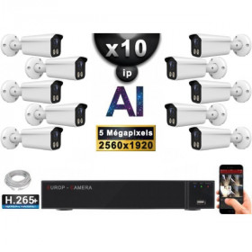 Kit Vidéo Surveillance PRO IP : 10x Caméras POE Tubes AI LED 30M Capteur SONY 5 MP + Enregistreur NVR 32 canaux H265+ 3000 Go