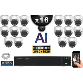 Kit Vidéo Surveillance PRO IP : 16x Caméras POE Dômes AI LED 30M Capteur SONY 5 MP + Enregistreur NVR 32 canaux H265+ 3000 Go