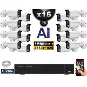Kit Vidéo Surveillance PRO IP : 16x Caméras POE Tubes AI LED 30M Capteur SONY 5 MP + Enregistreur NVR 32 canaux H265+ 3000 Go