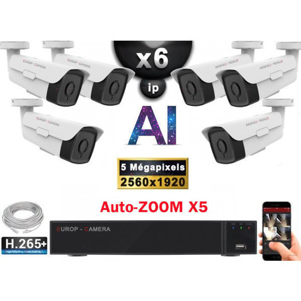 Kit Vidéo Surveillance PRO IP : 6x Caméras POE Tubes AUTOZOOM X5 IR 60M SONY 5 MP + Enregistreur NVR 9 canaux H265+ 2000 Go