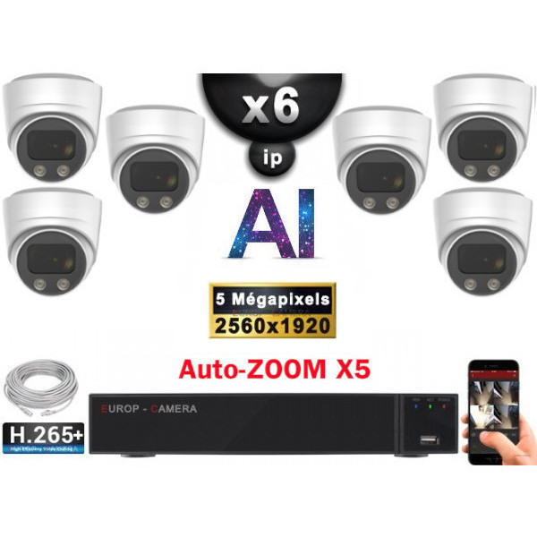 Kit Vidéo Surveillance PRO IP : 6x Caméras POE Dômes AI AUTOZOOM X5 IR 30M SONY 5 MP + Enregistreur NVR 9 canaux H265+ 2000 Go