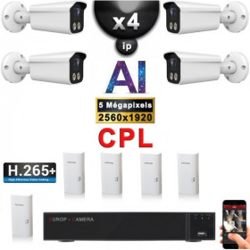 Kit Vidéo Surveillance PRO IP : 4x Caméras POE Tubes AI IR 25M Capteur SONY 5 MP + Enregistreur NVR 9 canaux H265+ 2000 Go
