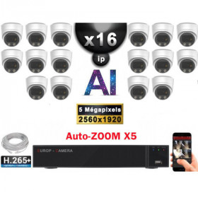 Kit Vidéo Surveillance PRO IP : 16x Caméras POE Dômes AI AUTOZOOM X5 IR 30M SONY 5 MP + Enregistreur NVR 25 canaux H265+ 3000 Go