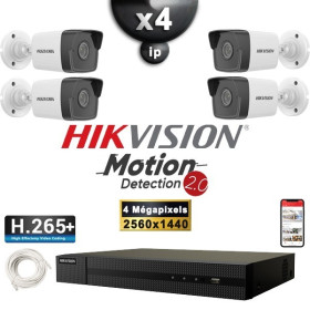 Kit Vidéo Surveillance PRO IP HIKVISION : 4x Caméras POE Tubes IR 30M 4 MP Détection 2.0 + Enregistreur NVR 4 canaux 2000 Go