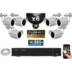 Kit Vidéo Surveillance PRO IP : 6x Caméras POE Tubes IR 30M Capteur SONY 1080P + Enregistreur NVR 9 canaux H265+ 2000 Go