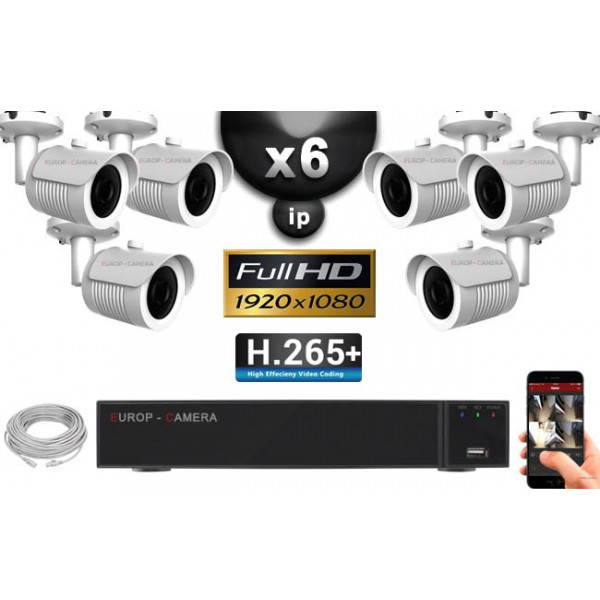 Kit Vidéo Surveillance PRO IP : 6x Caméras POE Tubes IR 30M Capteur SONY 1080P + Enregistreur NVR 9 canaux H265+ 2000 Go