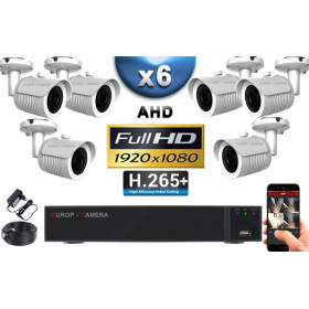 KIT PRO AHD 6 Caméras Tubes IR 30m Capteur SONY FULL HD 1080P + Enregistreur XVR 5MP H265+ 2000 Go / Pack vidéo surveillance