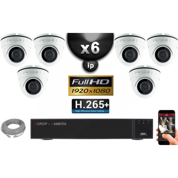 Kit Vidéo Surveillance PRO IP : 6x Caméras POE Dômes IR 20M Capteur SONY 1080P + Enregistreur NVR 9 canaux H265+ 2000 Go