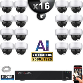 Kit Vidéo Surveillance PRO IP : 16x Caméras POE Dômes AI IR 25M Capteur SONY 5 MP + Enregistreur NVR 32 canaux H265+ 3000 Go