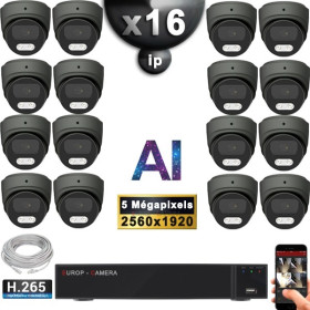 Kit Vidéo Surveillance PRO IP : 16x Caméras POE Dômes AI LED 30M Capteur SONY 5 MP + Enregistreur NVR 32 canaux H265+ 3000 Go