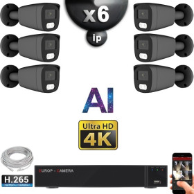 Kit Vidéo Surveillance PRO IP 6x Caméras POE Tubes AI LED 30M Capteur SONY UHD 4K + Enregistreur NVR 10 canaux H265+ 2000 Go