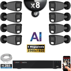 Kit Vidéo Surveillance PRO IP : 8x Caméras POE Tubes AI LED 30M Capteur SONY 5 MP + Enregistreur NVR 16 canaux H265+ 2000 Go