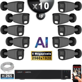 Kit Vidéo Surveillance PRO IP : 10x Caméras POE Tubes AI LED 30M Capteur SONY 5 MP + Enregistreur NVR 32 canaux H265+ 3000 Go