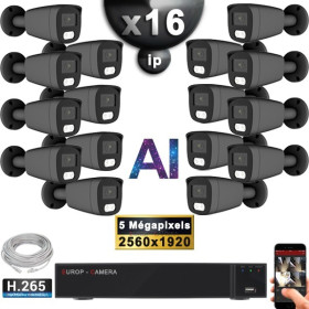 Kit Vidéo Surveillance PRO IP : 16x Caméras POE Tubes AI IR 25M Capteur SONY 5 MP + Enregistreur NVR 25 canaux H265+ 3000 Go