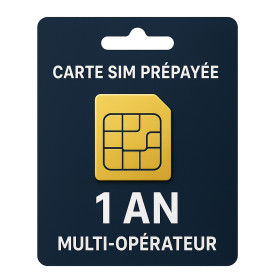 Carte SIM M2M Prépayée 1 An - Multi-opérateur Europe