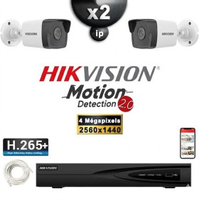 Kit Vidéo Surveillance PRO IP HIKVISION : 2x Caméras POE Tubes IR 30M 4 MP Détection 2.0 + Enregistreur NVR 4 canaux 1000 Go
