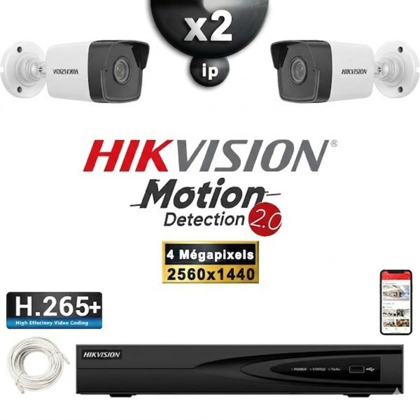 Kit Vidéo Surveillance PRO IP HIKVISION : 2x Caméras POE Tubes IR 30M 4 MP Détection 2.0 + Enregistreur NVR 4 canaux 1000 Go