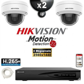 Kit Vidéo Surveillance PRO IP HIKVISION : 2x Caméras POE Dômes IR 30M 4 MP Détection 2.0 + Enregistreur NVR 4 canaux 1000 Go