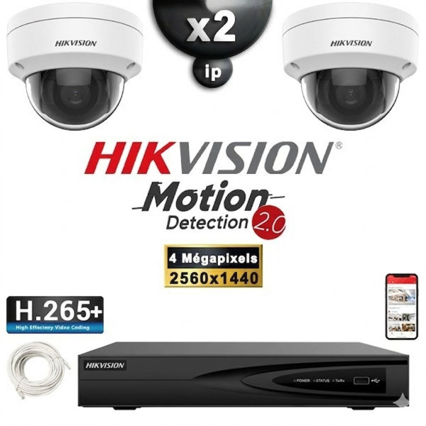 Kit Vidéo Surveillance PRO IP HIKVISION : 2x Caméras POE Dômes IR 30M 4 MP Détection 2.0 + Enregistreur NVR 4 canaux 1000 Go