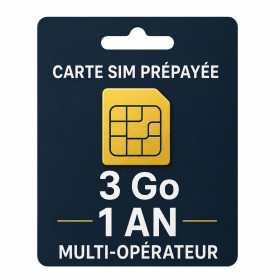 Carte SIM M2M 3 Go Prépayée 1 An - Multi-opérateur Europe