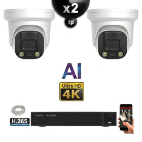 Kit Vidéo Surveillance PRO IP 2x Caméras POE Dômes AI IR 25M Capteur SONY UHD 4K + Enregistreur NVR 8 canaux H265+ 1000 Go