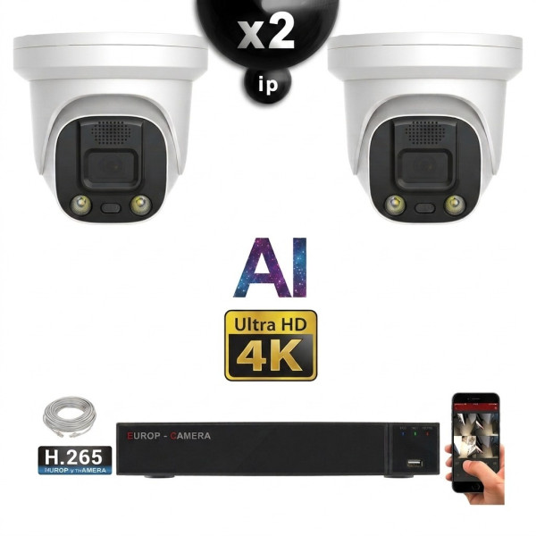 Kit Vidéo Surveillance PRO IP 2x Caméras POE Dômes AI IR 25M Capteur SONY UHD 4K + Enregistreur NVR 8 canaux H265+ 1000 Go