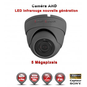 Mini Dôme AHD / CVI / TVI Capteur SONY 5 MegaPixels IR 20m étanche réf: EC-AHDD204MPS - caméra surveillance