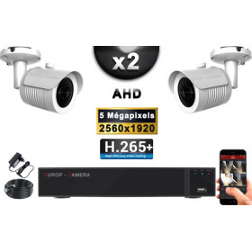 KIT PRO AHD 2 Caméras Tubes IR 30m Capteur SONY 5 MegaPixels + Enregistreur XVR 8MP H265+ 1000 Go / Pack de vidéo surveillance