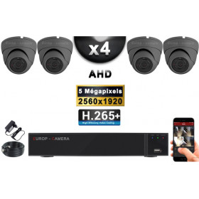 KIT PRO AHD 4 Caméras Dômes IR 20m Capteur SONY 5 MegaPixels + Enregistreur XVR 8MP H265+ 2000 Go / Pack de vidéo surveillance