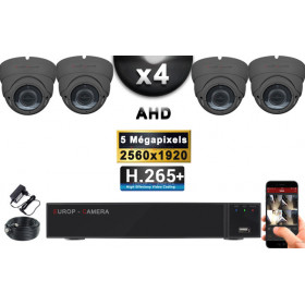 KIT PRO AHD 4 Caméras Dômes IR 35m Capteur SONY 5 MegaPixels + Enregistreur XVR 8MP H265+ 2000 Go / Pack de vidéo surveillance