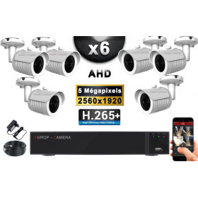 KIT PRO AHD 6 Caméras Tubes IR 30m Capteur SONY 5 MegaPixels + Enregistreur XVR 8MP H265+ 2000 Go / Pack de vidéo surveillance