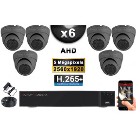 KIT PRO AHD 6 Caméras Dômes IR 20m Capteur SONY 5 MegaPixels + Enregistreur XVR 8MP H265+ 2000 Go / Pack de vidéo surveillance