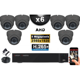 KIT PRO AHD 6 Caméras Dômes IR 35m Capteur 5 MegaPixels + Enregistreur XVR 8MP H265+ 2000 Go / Pack de vidéo surveillance