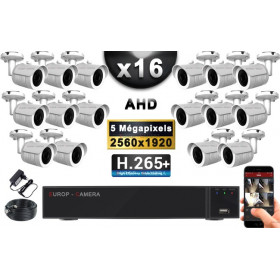KIT PRO AHD 16 Caméras Tubes IR 30m Capteur SONY 5 MegaPixels + Enregistreur XVR 8MP H265+ 3000 Go / Pack vidéo surveillance
