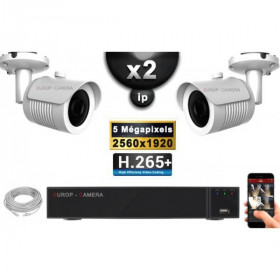 Kit Vidéo Surveillance PRO IP : 2x Caméras POE Tubes IR 30M Capteur SONY 5 MegaPixels + Enregistreur NVR 9 canaux H265+ 1000 Go