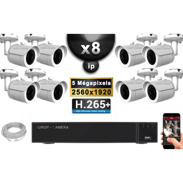 Kit Vidéo Surveillance PRO IP : 8x Caméras POE Tubes IR 30M Capteur SONY 5 MegaPixels + Enregistreur NVR 16 canaux H265+ 3000 Go