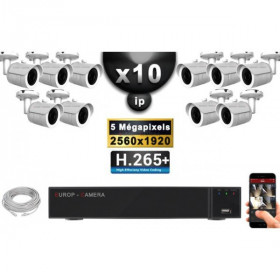 Kit Vidéo Surveillance PRO IP : 10x Caméras POE Tubes IR 30M Capteur SONY 5 MegaPixels + Enregistreur NVR 16 canaux H265+ 3000 G