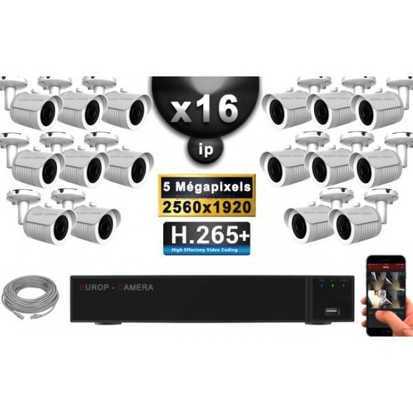 Kit Vidéo Surveillance PRO IP : 16x Caméras POE Tubes IR 30M Capteur SONY 5 MegaPixels + Enregistreur NVR 25 canaux H265+ 3000 G