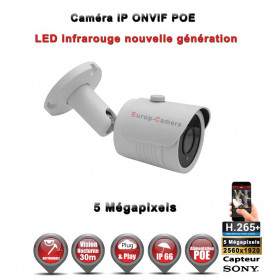 TUBE IP ANTI-VANDAL IR 30M ONVIF POE Capteur SONY 5 MegaPixels / REF : EC-C5MP30S - CAMÉRA DE VIDÉO SURVEILLANCE IP